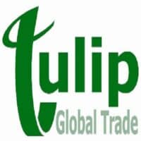 Tulip Global Square